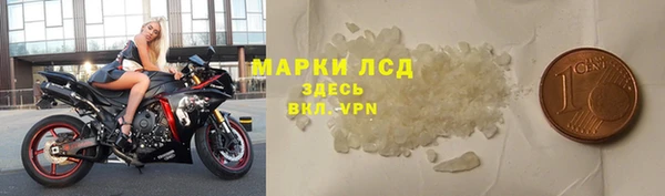 сатива Покачи
