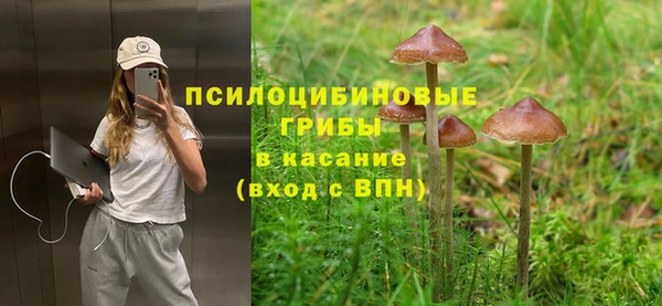 MDMA Верхний Тагил