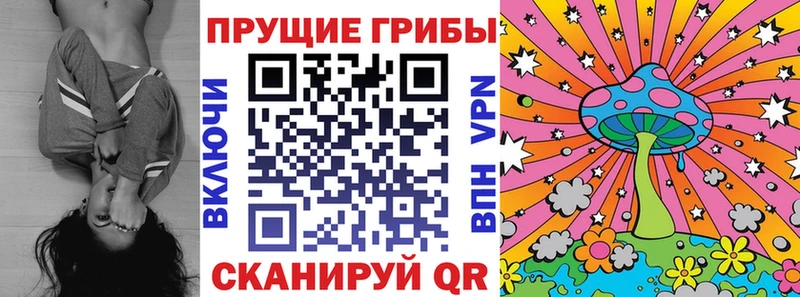 Галлюциногенные грибы мицелий Голицыно