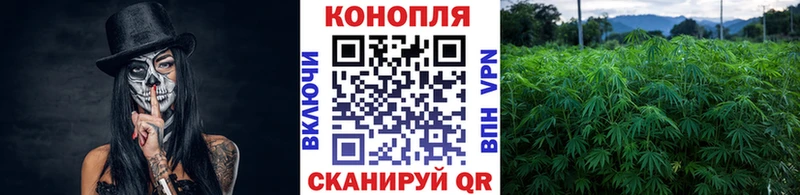 МАРИХУАНА план  закладки  Голицыно 
